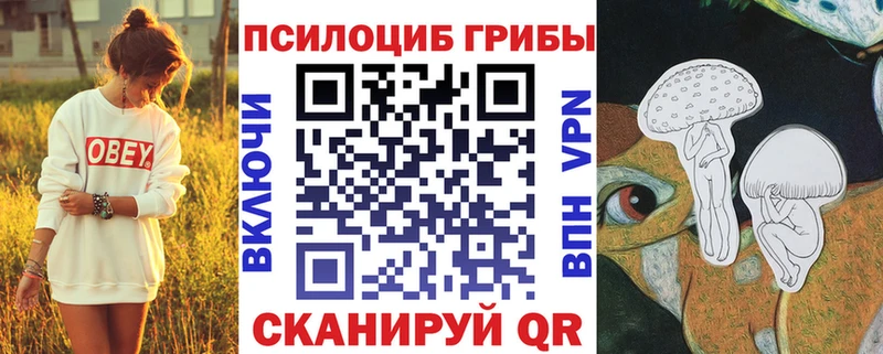 Купить закладки  Алатырь  Псилоцибиновые грибы GOLDEN TEACHER 