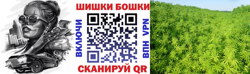 Купить где  Алатырь  Бошки Шишки VHQ 